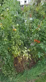 20200905_172103.webp