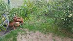 20200905_172055.jpg