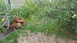 20200905_172055.webp