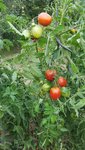 20200905_172027.jpg