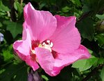20200905_181240.jpg