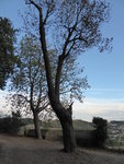 P1010571.JPG