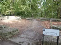 P1010580.webp
