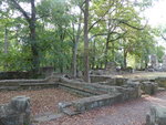 P1010591.JPG