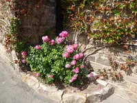 P1010611.webp