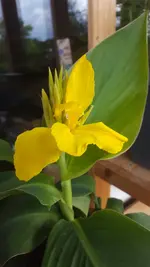 20200824_173817.webp