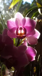 20200901_184616.webp