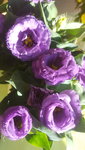20200901_183610.jpg
