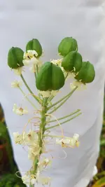20200906_120427.webp