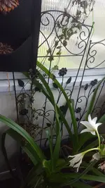 20200906_123417.webp