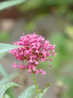 P1010634.JPG