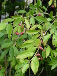P1010642.JPG