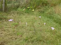 P1010664.JPG