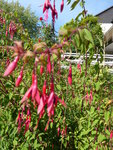 P1010677.JPG