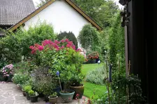 Terasse    4920.webp