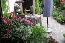Terasse    5020.webp