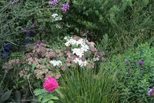 Sept .   0620.webp