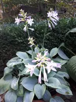 20200906_173728.webp