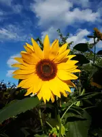 20200906_174335.webp