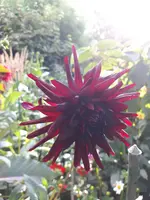 20200906_173948.webp