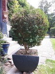 20200907_161111.jpg