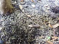 20200907_123129.webp 20200907_123129.webp