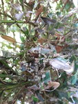 20200907_123240.jpg