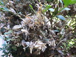 20200907_123046.jpg 20200907_123046.jpg