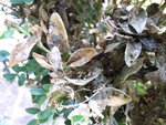 20200907_123116.jpg 20200907_123116.jpg
