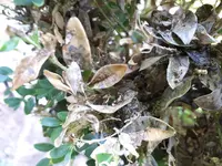 20200907_123116.webp 20200907_123116.webp