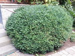 20200907_161143.jpg 20200907_161143.jpg