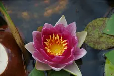 DSC09367.webp