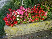 DSC01254.webp