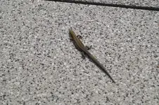 DSC06202.webp