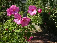 DSC01258.webp