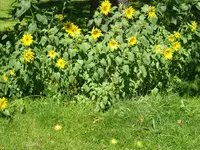 DSC01257.webp