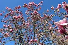 IMG_6608.JPG