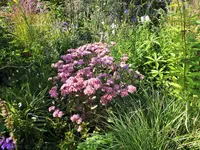 DSCF4068 (2).webp
