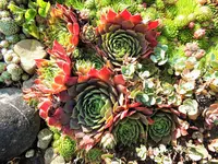 DSCF4094 (2).webp