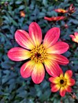 IMG_20200910_122904.jpg