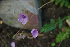 DSC09378.webp