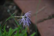 DSC09380.webp