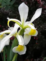 DSCN9123.webp
