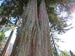 IMG_6596.JPG