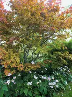 DSCF4062 (2).webp