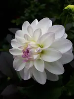20200903_171909.webp