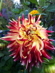 20200903_171924.jpg