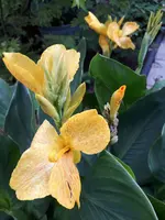 20200910_173311.webp