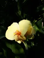 20200823_113518_001.webp