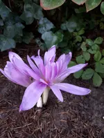 20200910_173222.webp